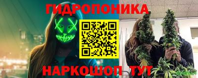 прущие крисы Кунгур